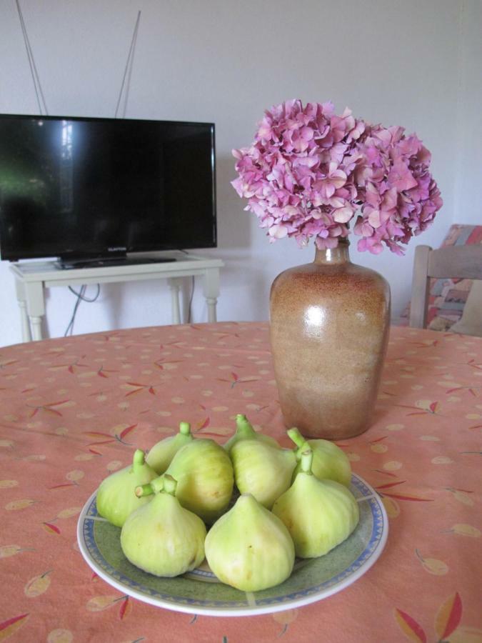 Gîte de Poppy Tursac Extérieur photo